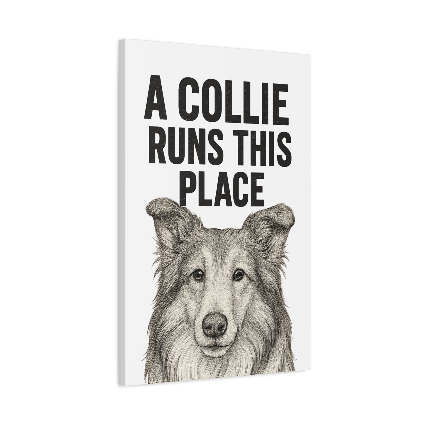 Border Collie Runs This Place Canvas Wall Art