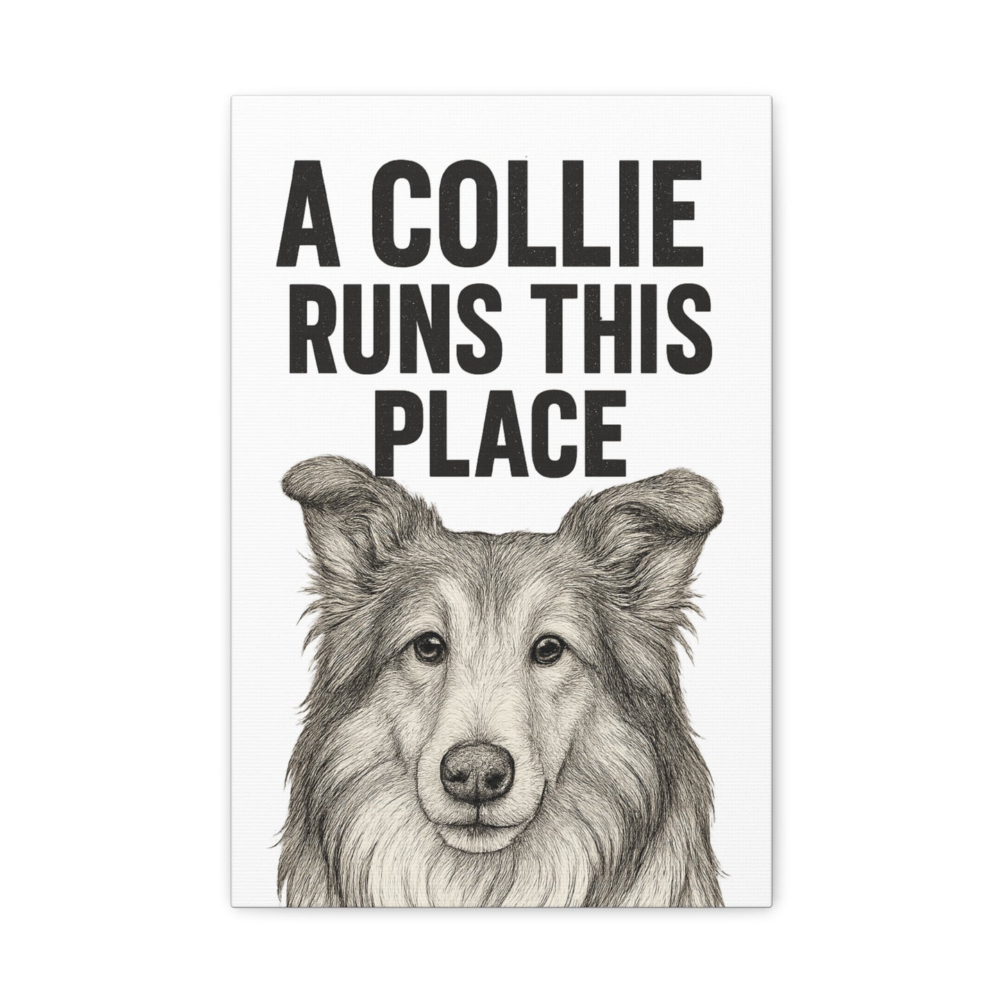 Border Collie Runs This Place Canvas Wall Art