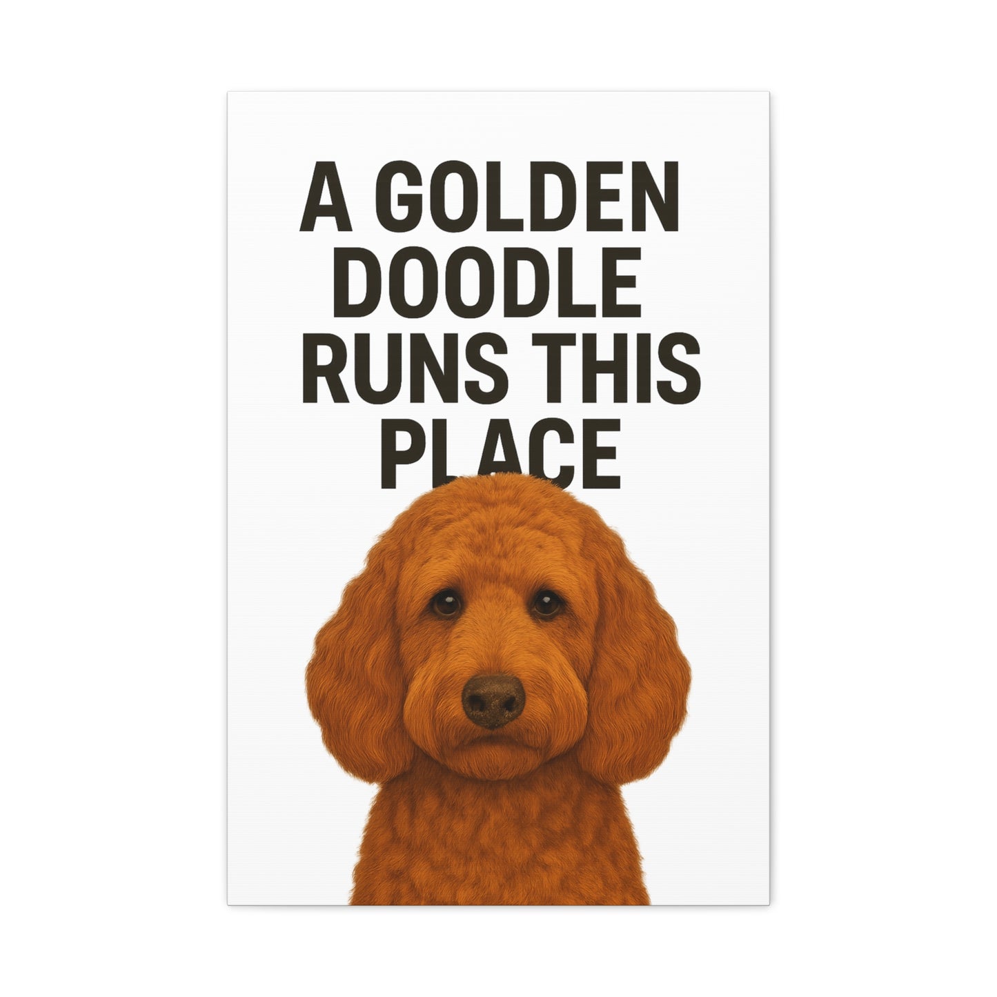 Golden Doodle Canvas Art, Dog Lover Wall Decor, Home Decoration, Pet Owner Gift, Funny Dog Quote