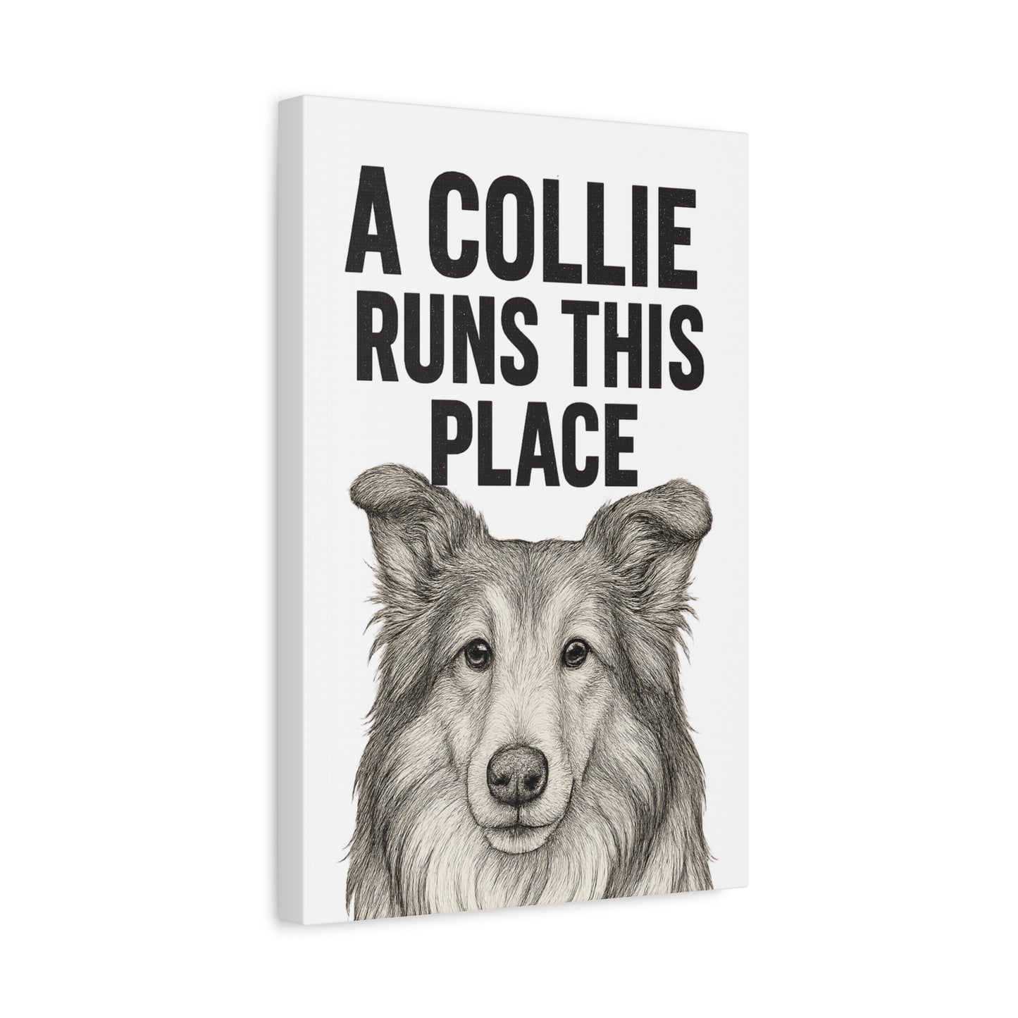 Border Collie Runs This Place Canvas Wall Art