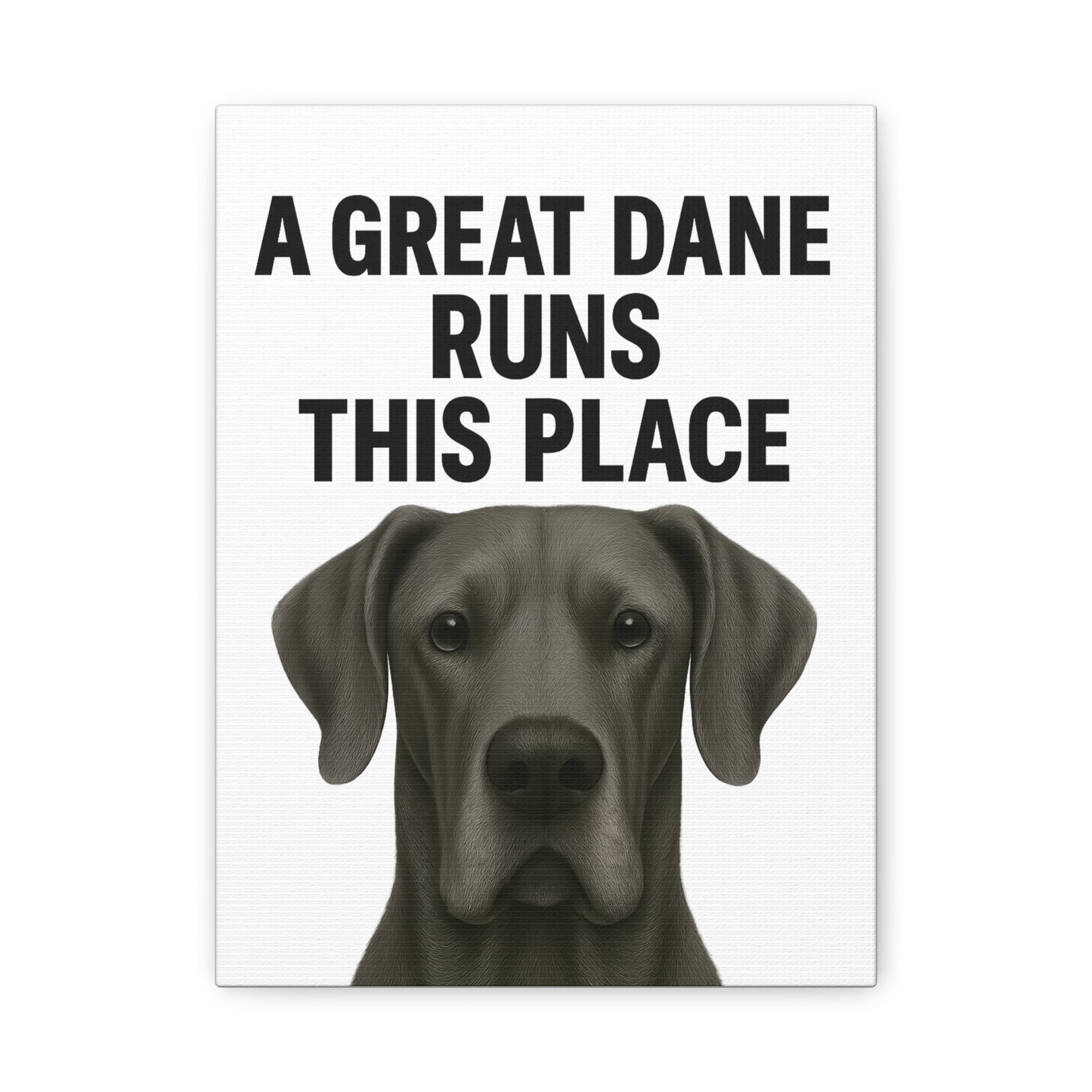 Great Dane Runs This Place Canvas Art