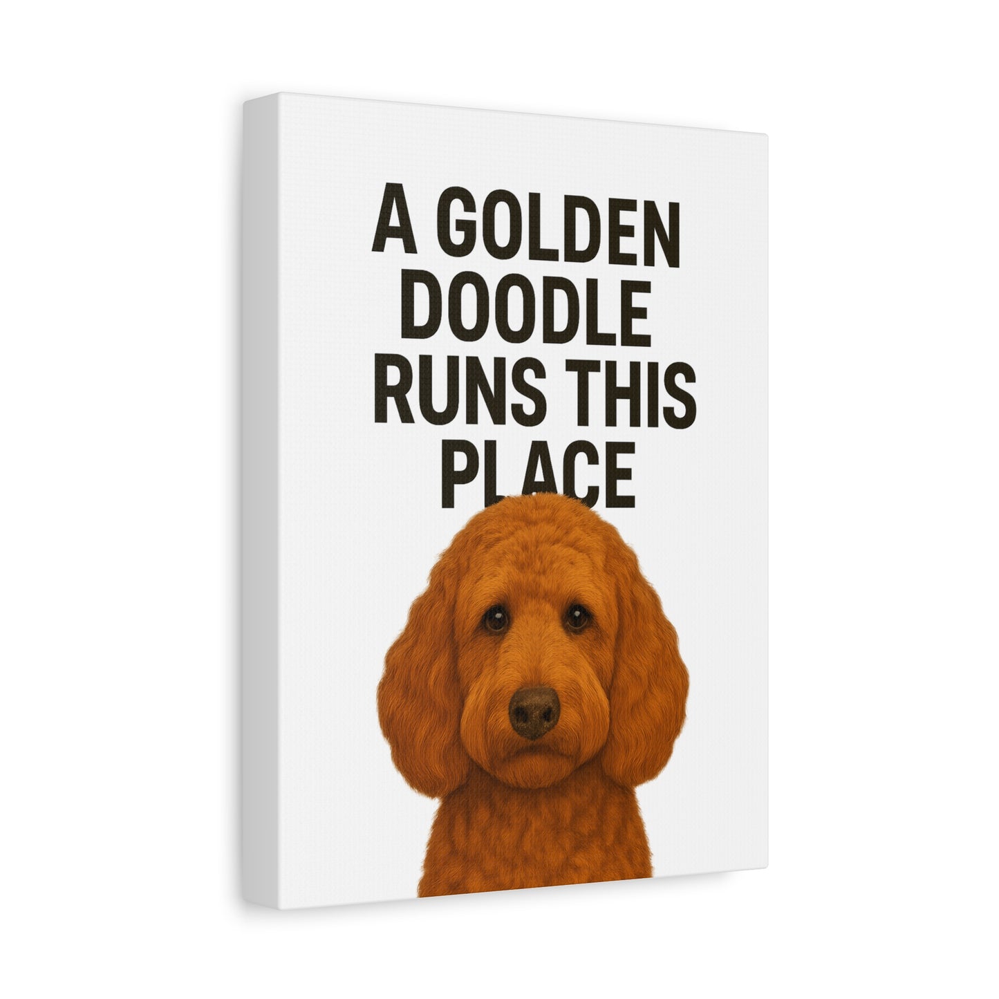 Golden Doodle Canvas Art, Dog Lover Wall Decor, Home Decoration, Pet Owner Gift, Funny Dog Quote