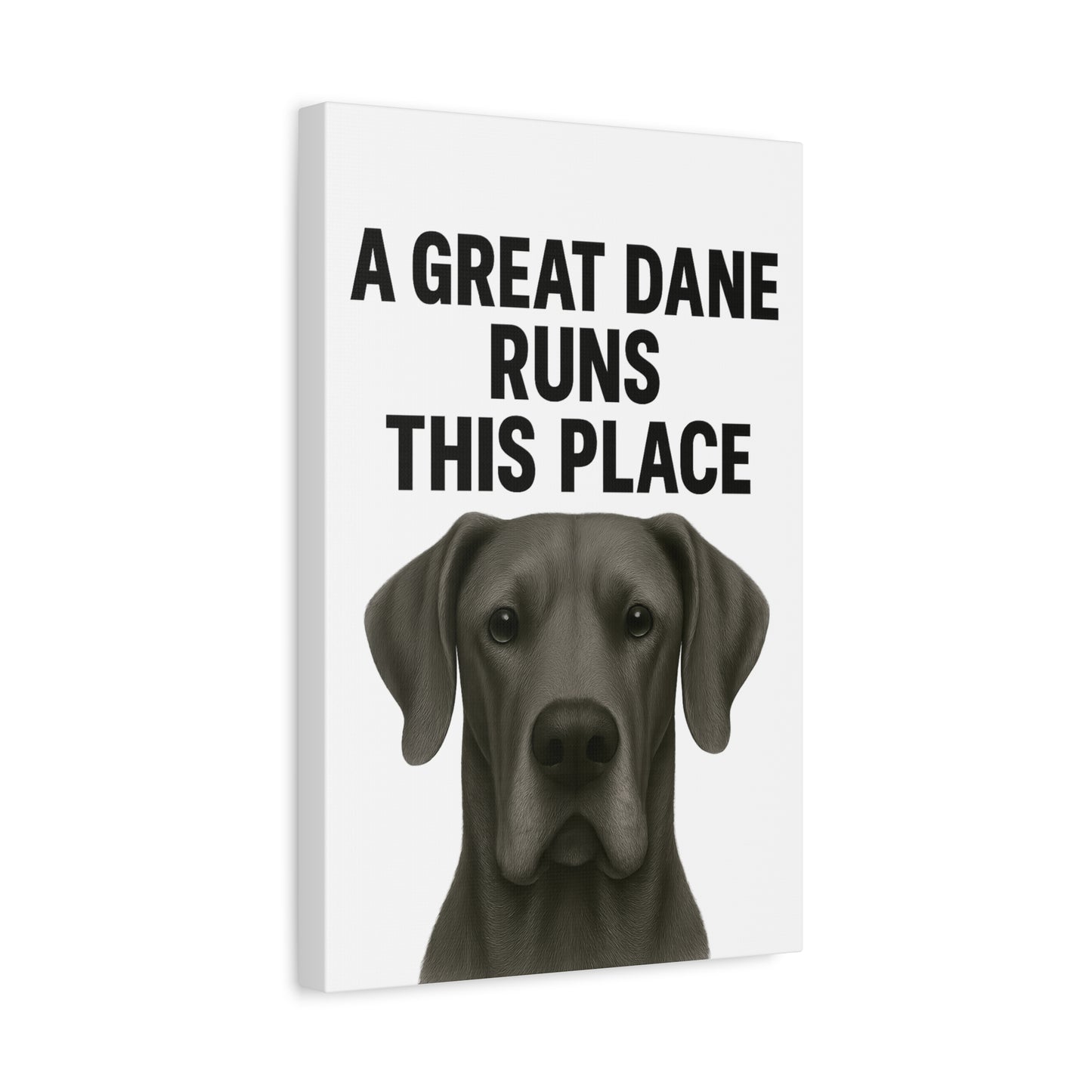 Great Dane Runs This Place Canvas Art