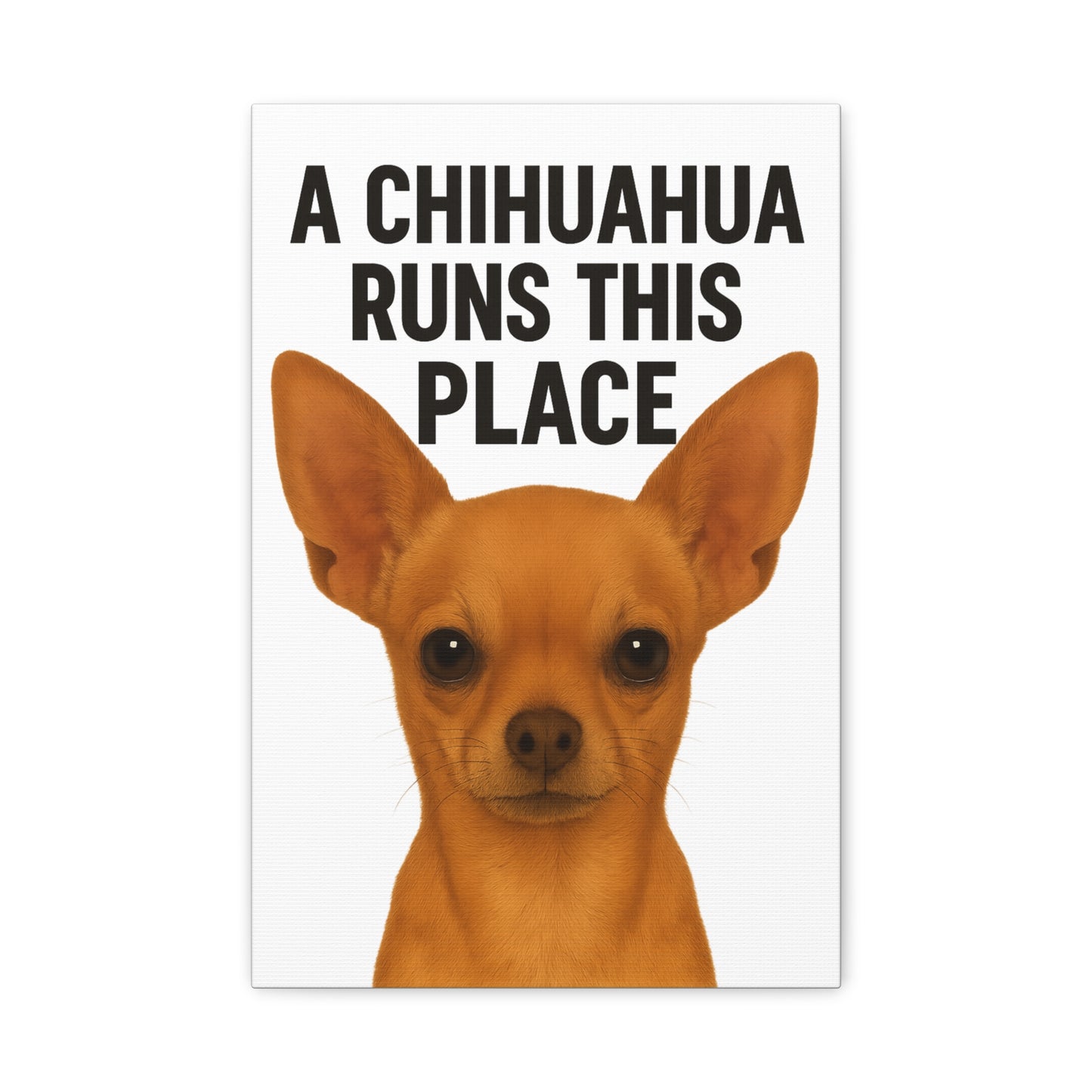 Chihuahua Canvas Art, A Chihuahua Runs This Place, Pet Lover Decor, Funny Wall Art, Gifts for Dog Lovers, Home & Office Decoration