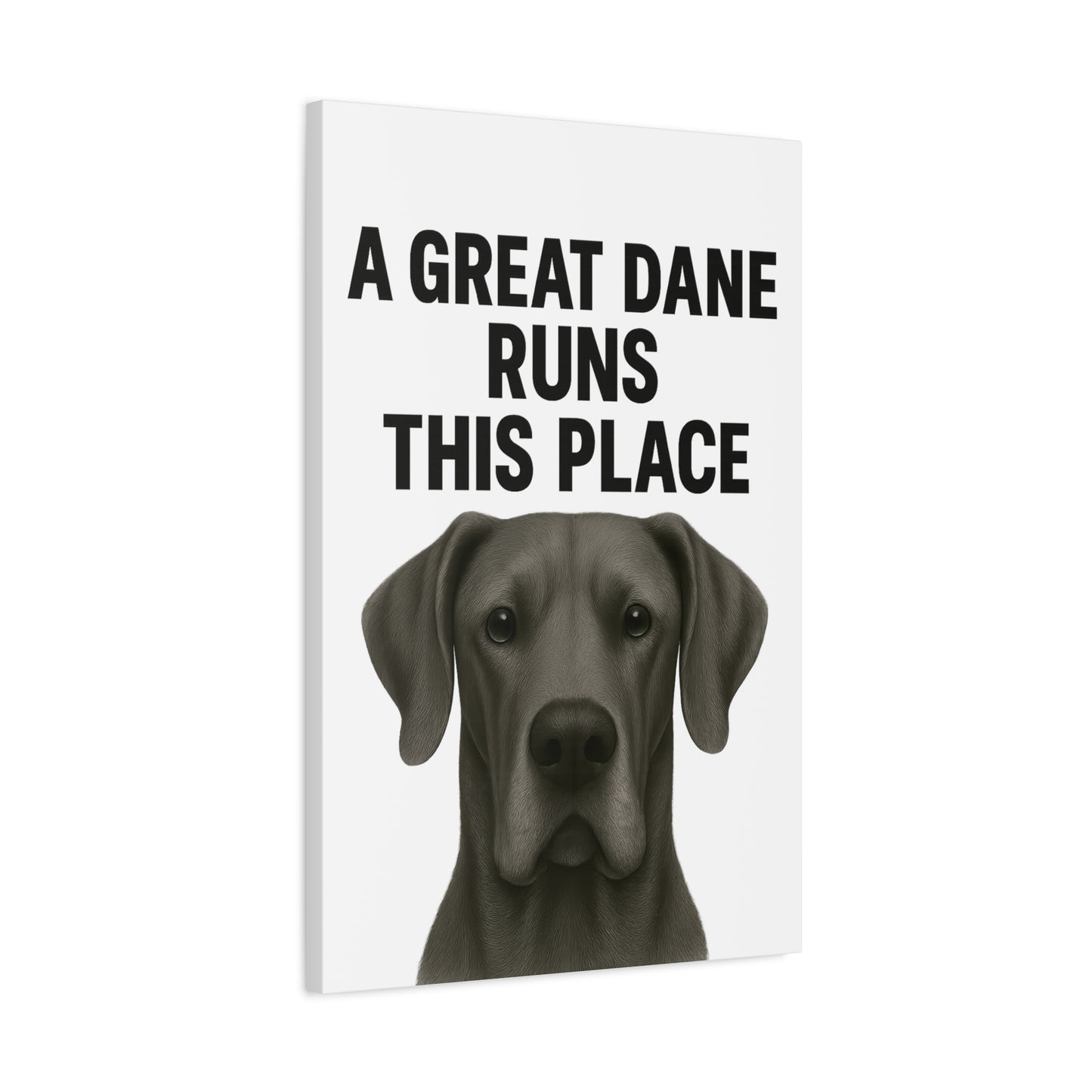 Great Dane Runs This Place Canvas Art