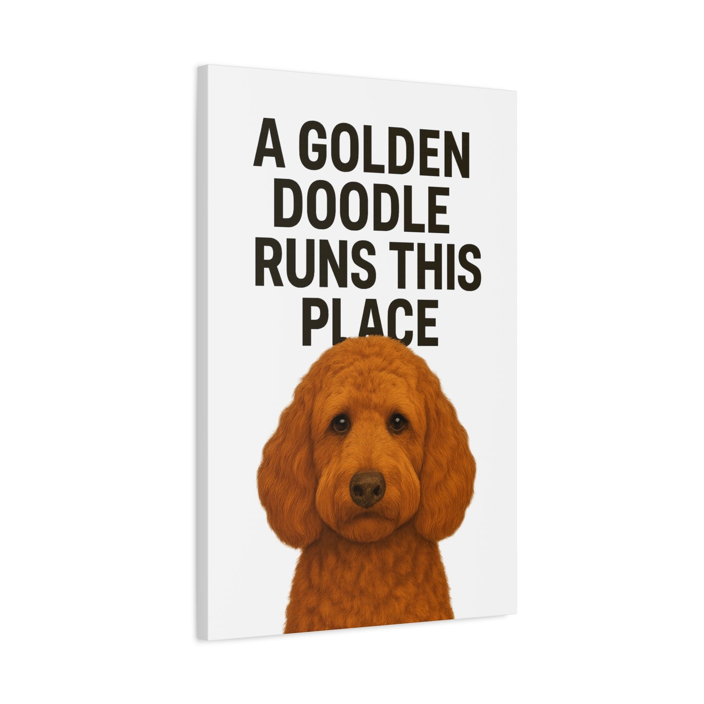 Golden Doodle Canvas Art, Dog Lover Wall Decor, Home Decoration, Pet Owner Gift, Funny Dog Quote