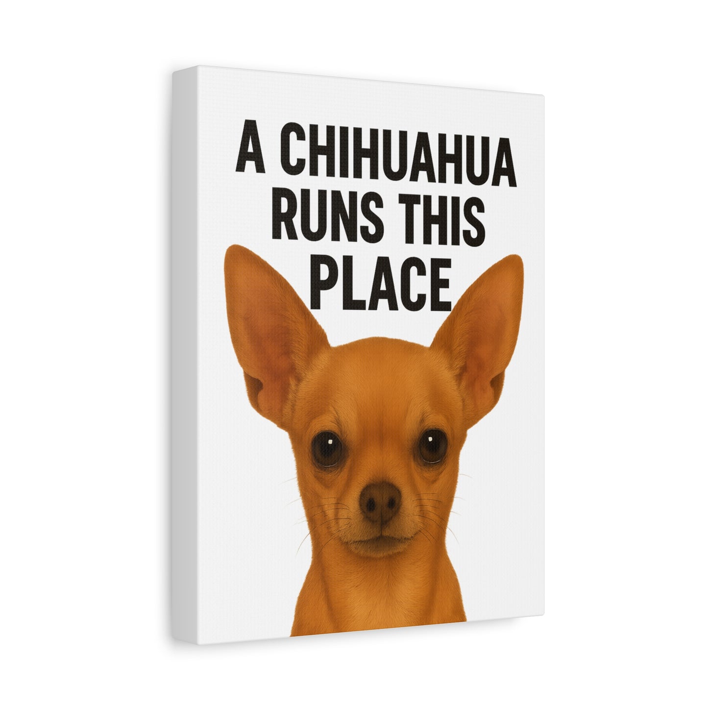 Chihuahua Canvas Art, A Chihuahua Runs This Place, Pet Lover Decor, Funny Wall Art, Gifts for Dog Lovers, Home & Office Decoration