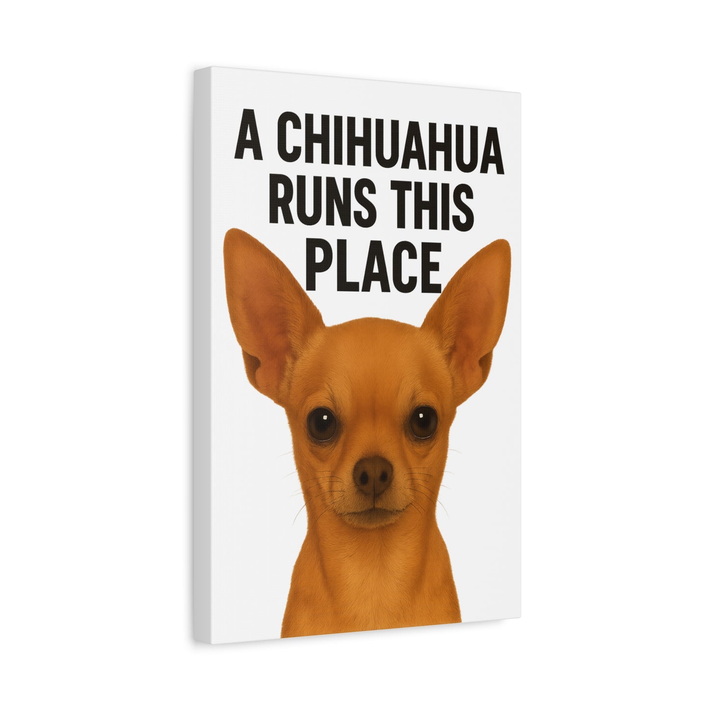 Chihuahua Canvas Art, A Chihuahua Runs This Place, Pet Lover Decor, Funny Wall Art, Gifts for Dog Lovers, Home & Office Decoration