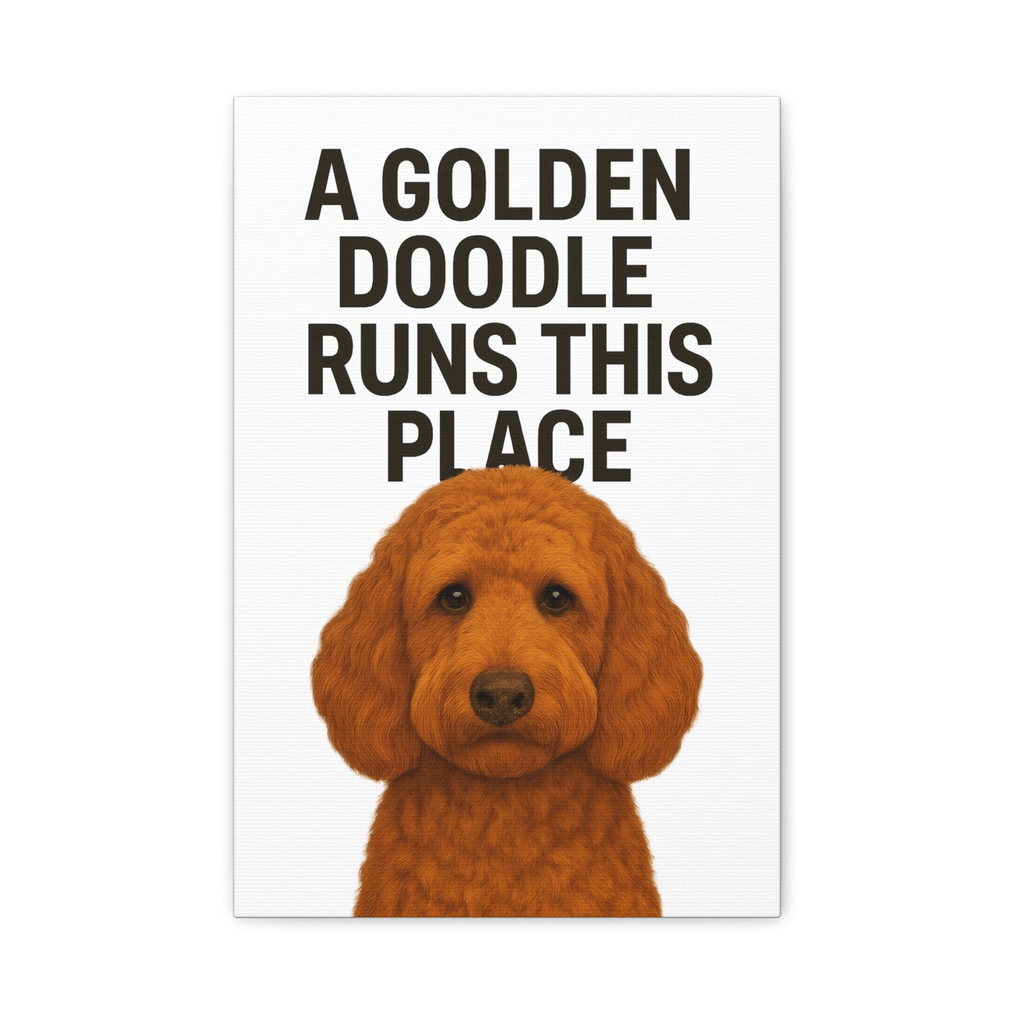 Golden Doodle Canvas Art, Dog Lover Wall Decor, Home Decoration, Pet Owner Gift, Funny Dog Quote