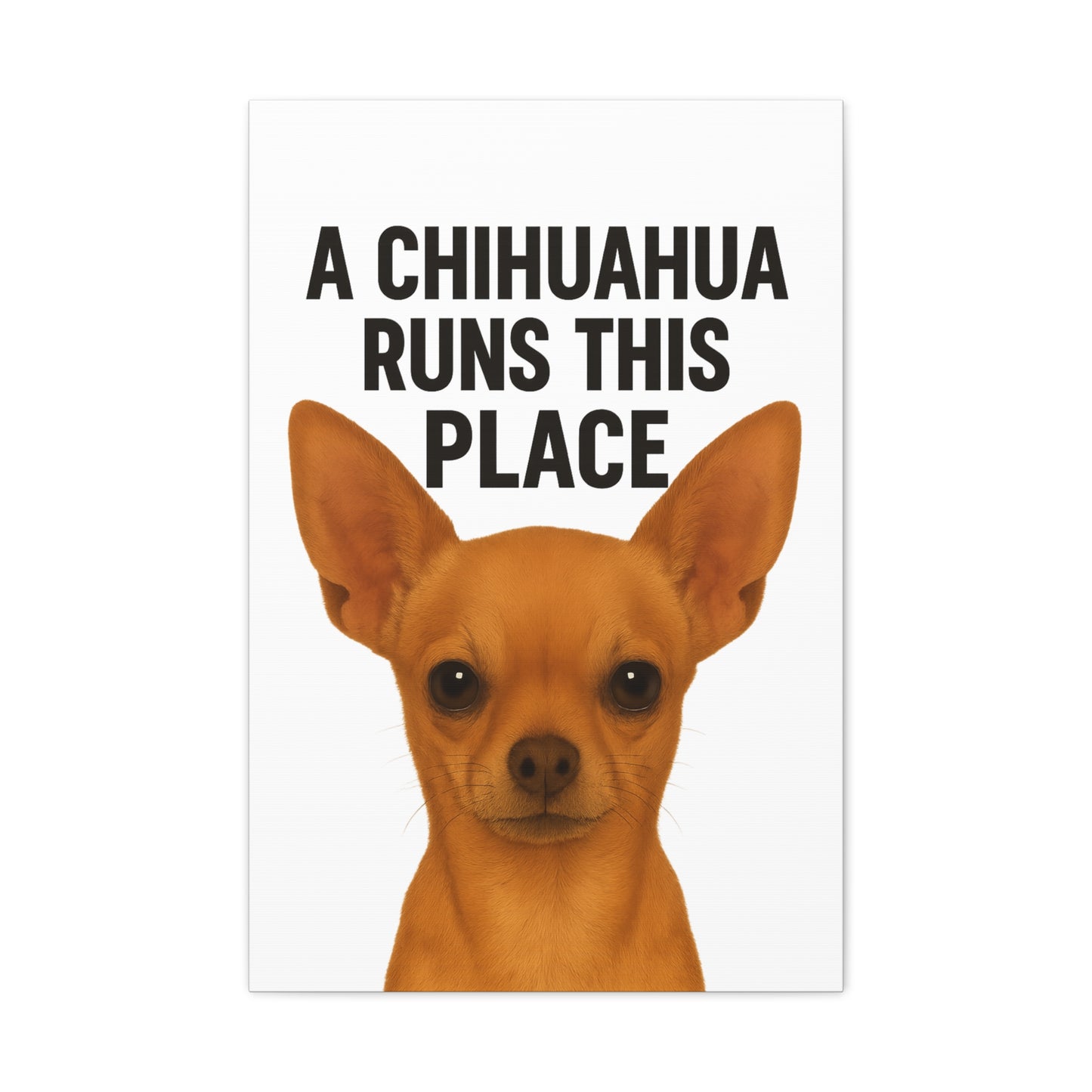 Chihuahua Canvas Art, A Chihuahua Runs This Place, Pet Lover Decor, Funny Wall Art, Gifts for Dog Lovers, Home & Office Decoration