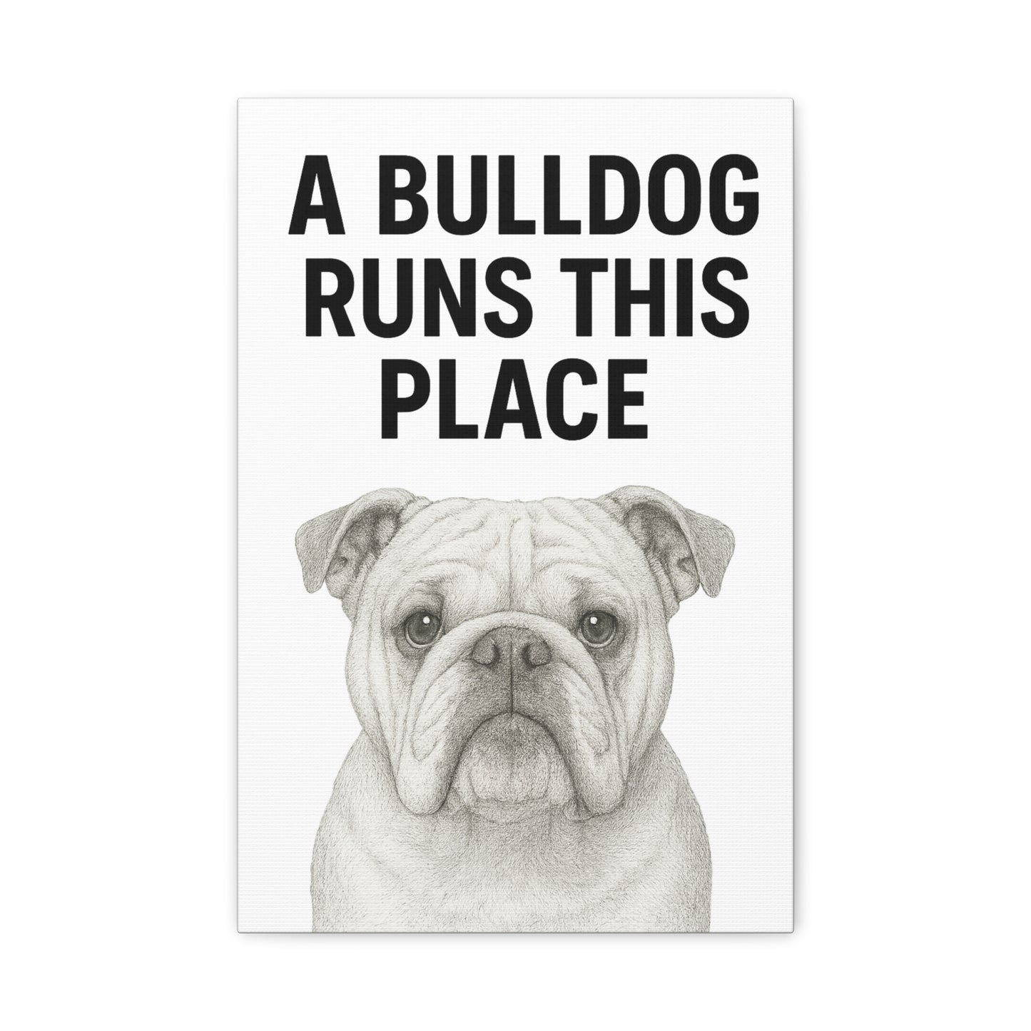 Bulldog Wall Art, Home Decor, Gift for Dog Lovers, Pet Owner Gift, Funny Animal Canvas Print