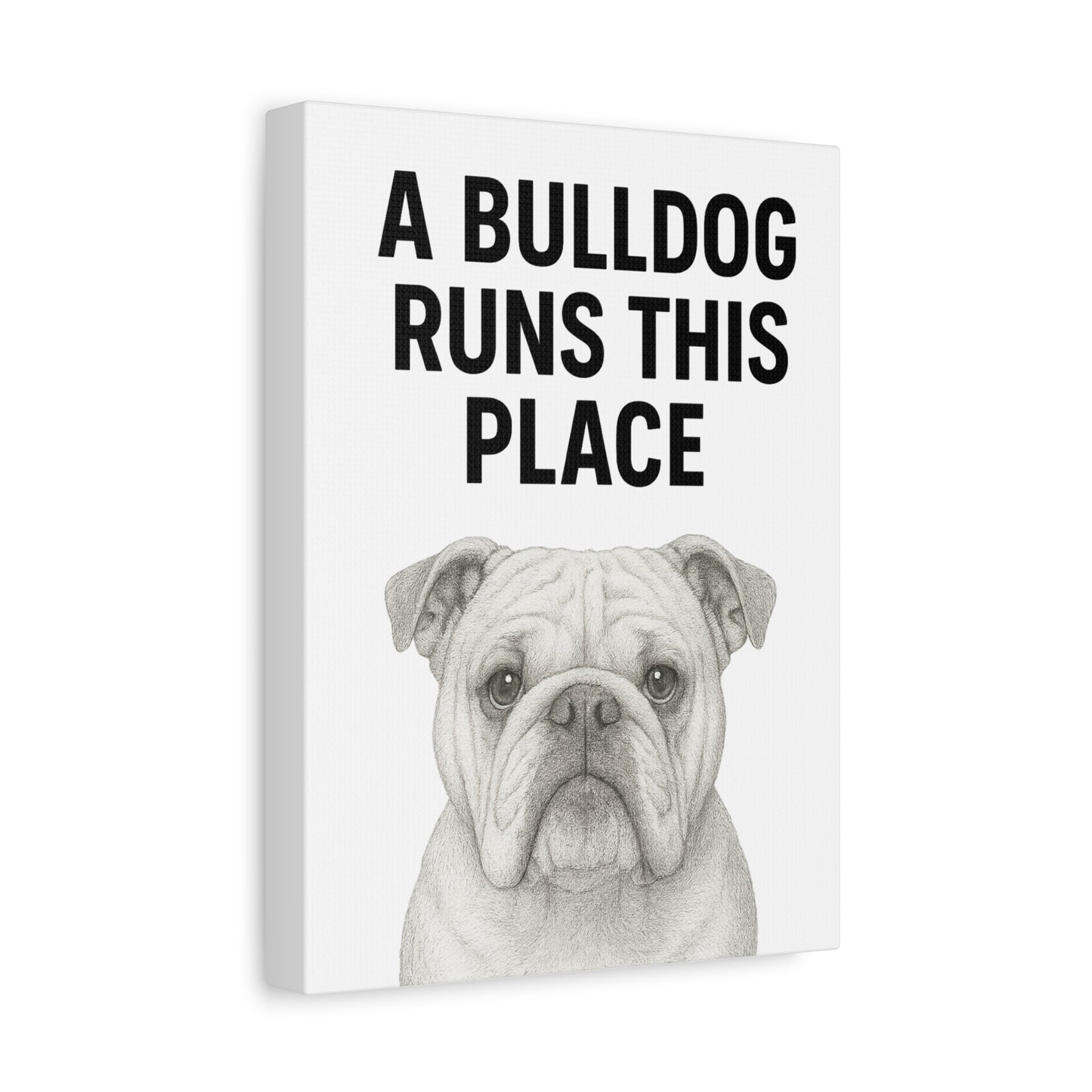 Bulldog Wall Art, Home Decor, Gift for Dog Lovers, Pet Owner Gift, Funny Animal Canvas Print