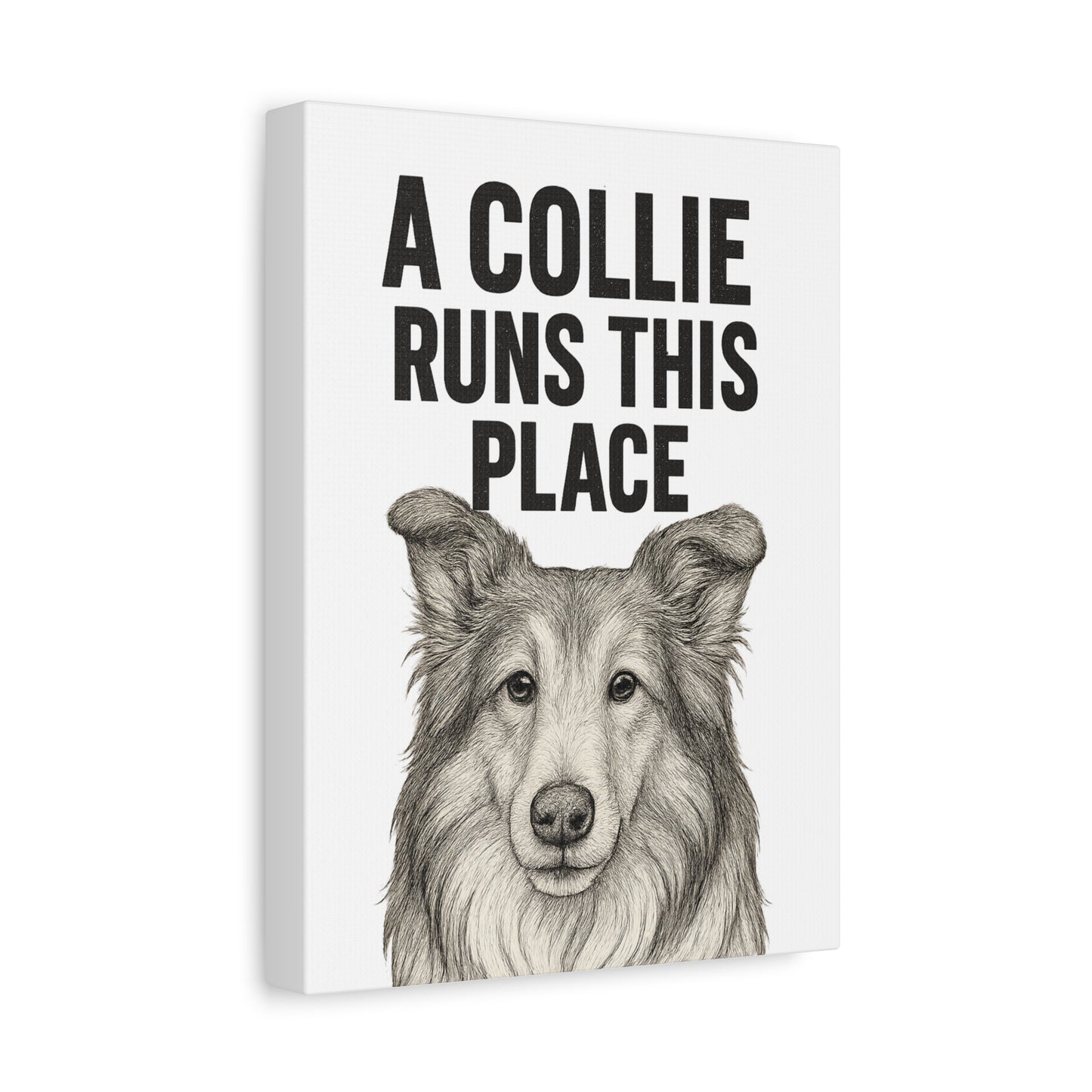 Border Collie Runs This Place Canvas Wall Art