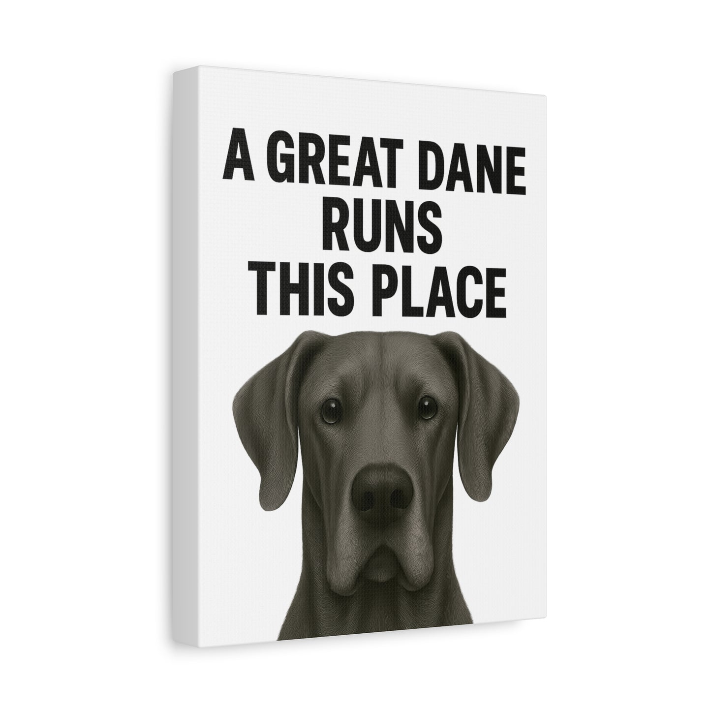 Great Dane Runs This Place Canvas Art