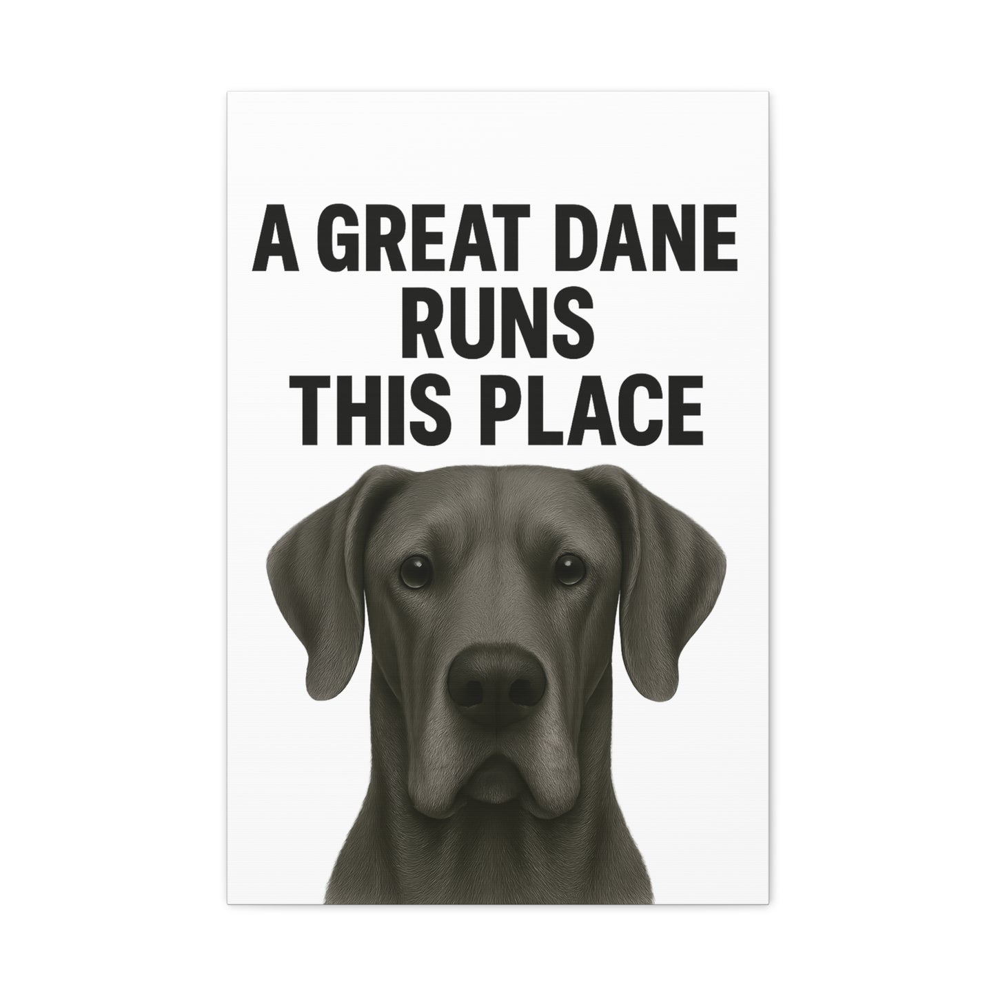 Great Dane Runs This Place Canvas Art