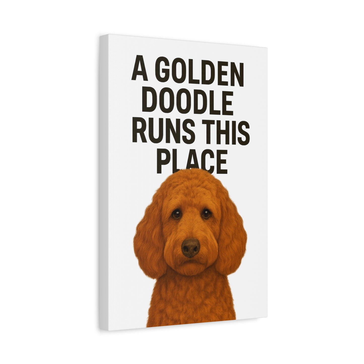 Golden Doodle Canvas Art, Dog Lover Wall Decor, Home Decoration, Pet Owner Gift, Funny Dog Quote