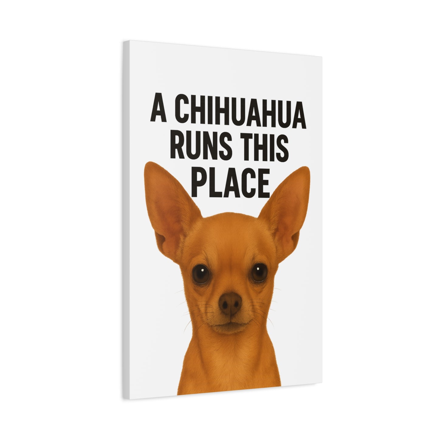 Chihuahua Canvas Art, A Chihuahua Runs This Place, Pet Lover Decor, Funny Wall Art, Gifts for Dog Lovers, Home & Office Decoration