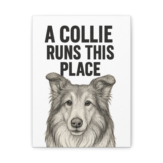 Border Collie Runs This Place Canvas Wall Art