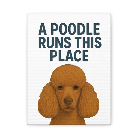 Canvas Wall Art for Dog Lovers, A Poodle Runs This Place, Home Decor, Pet Owner Gift, Dog Mom Decor, Dog Lover's Gift