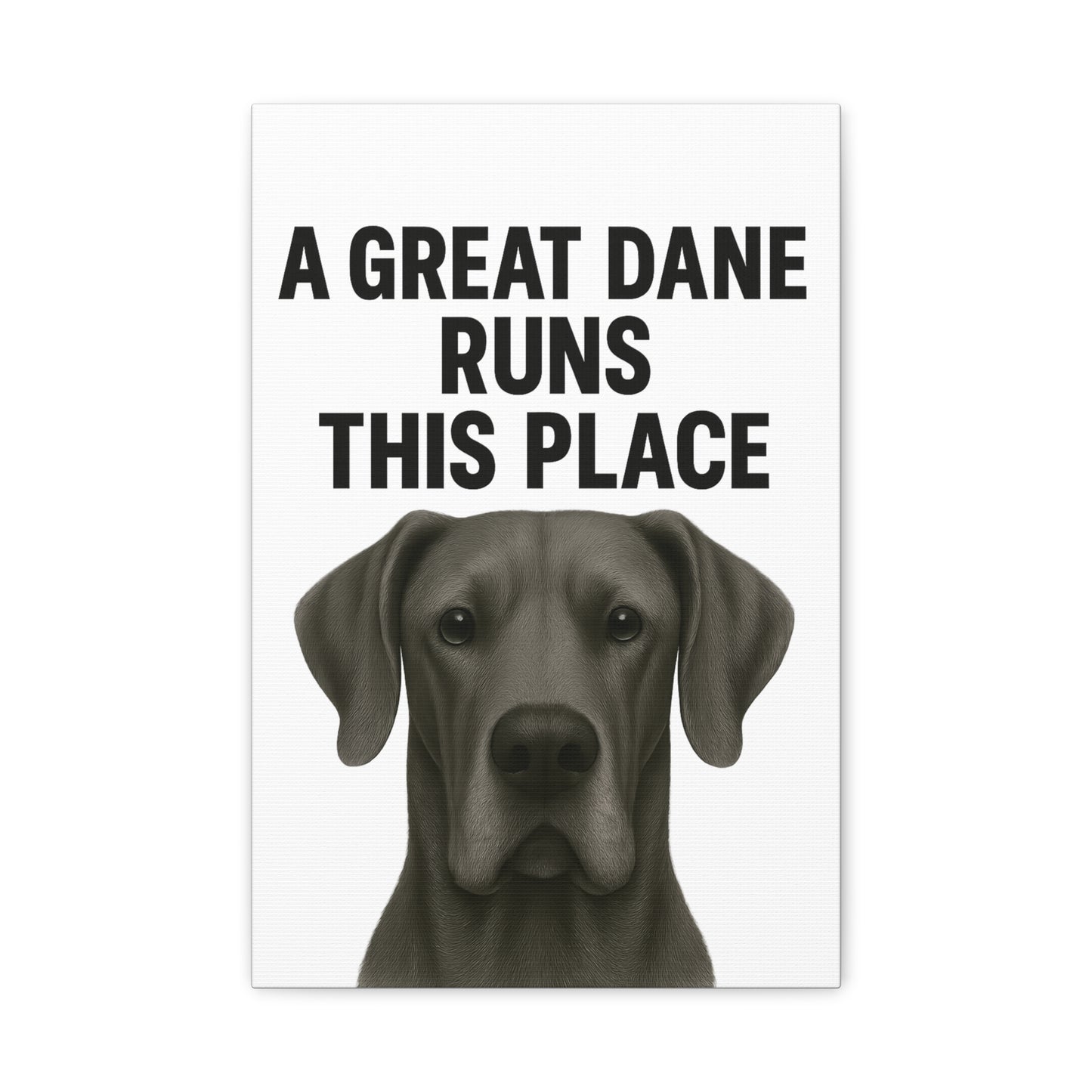 Great Dane Runs This Place Canvas Art