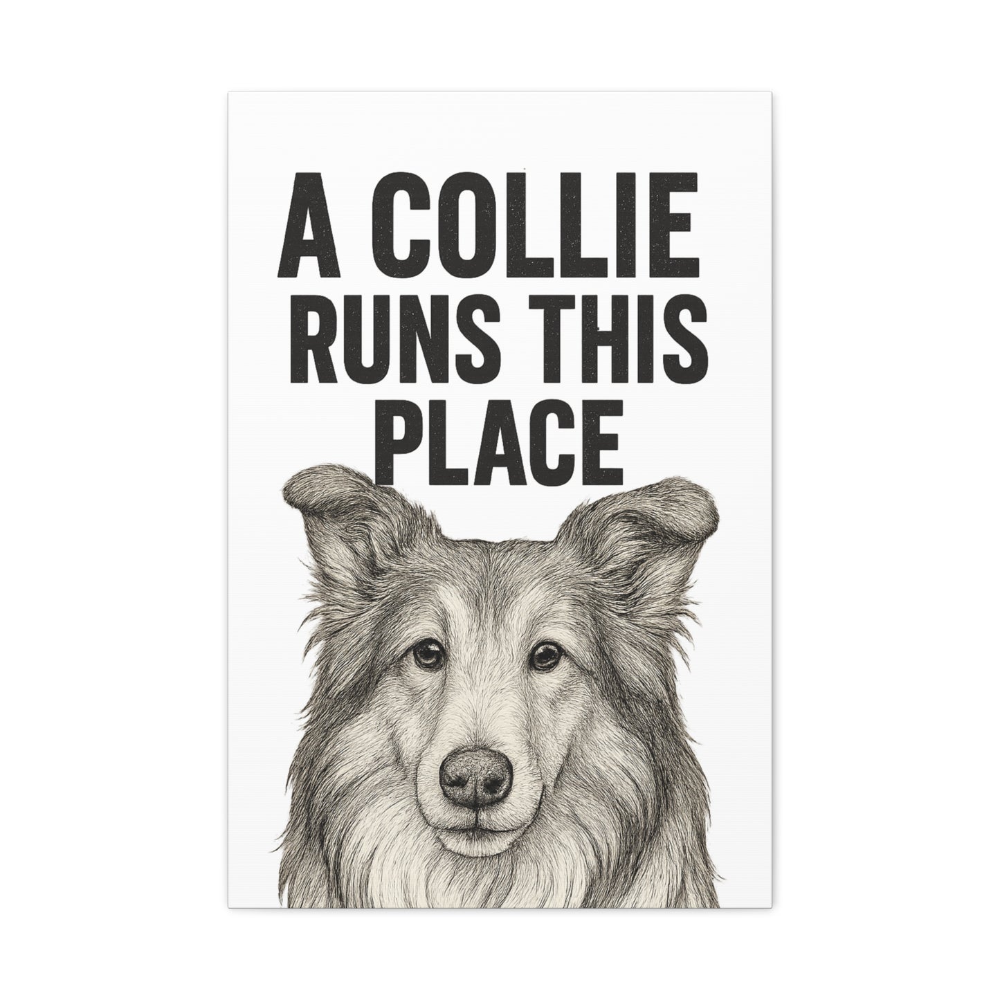 Border Collie Runs This Place Canvas Wall Art