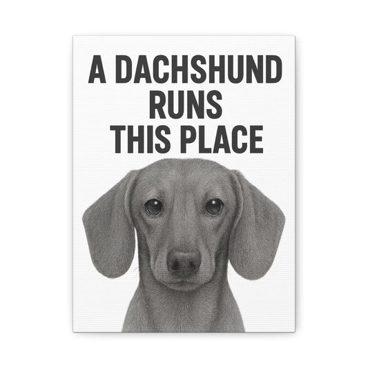 Dachshund Art Print, Wall Decor, Dog Lover Gift, Pet Portrait, Home Decoration, Cute Canine Canvas